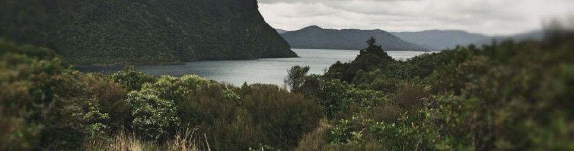 Te Kūha Tārewa Marae